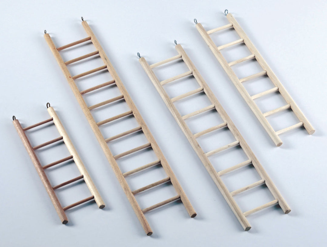 SAVIC Jouet Oiseaux Échelle 5 Marches