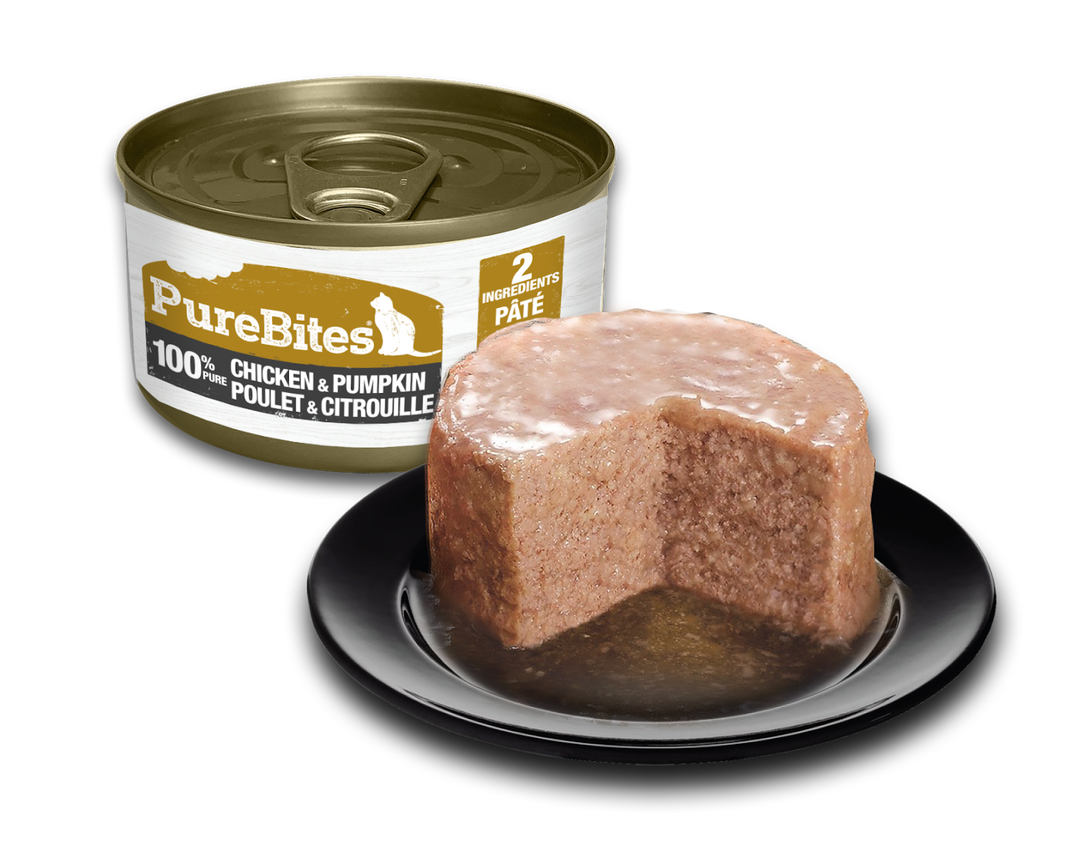 PureBites - Chat 100% Pur Pâté de Poulet et Citrouille - Nourriture Humide Sans Grains pour Chats