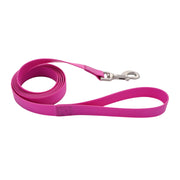 PET PRO Laisse Imperméable 3/4x72