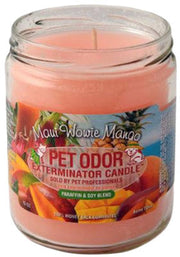 HOLLYMOLLY Chandelle Maui Wowie Mango 185g