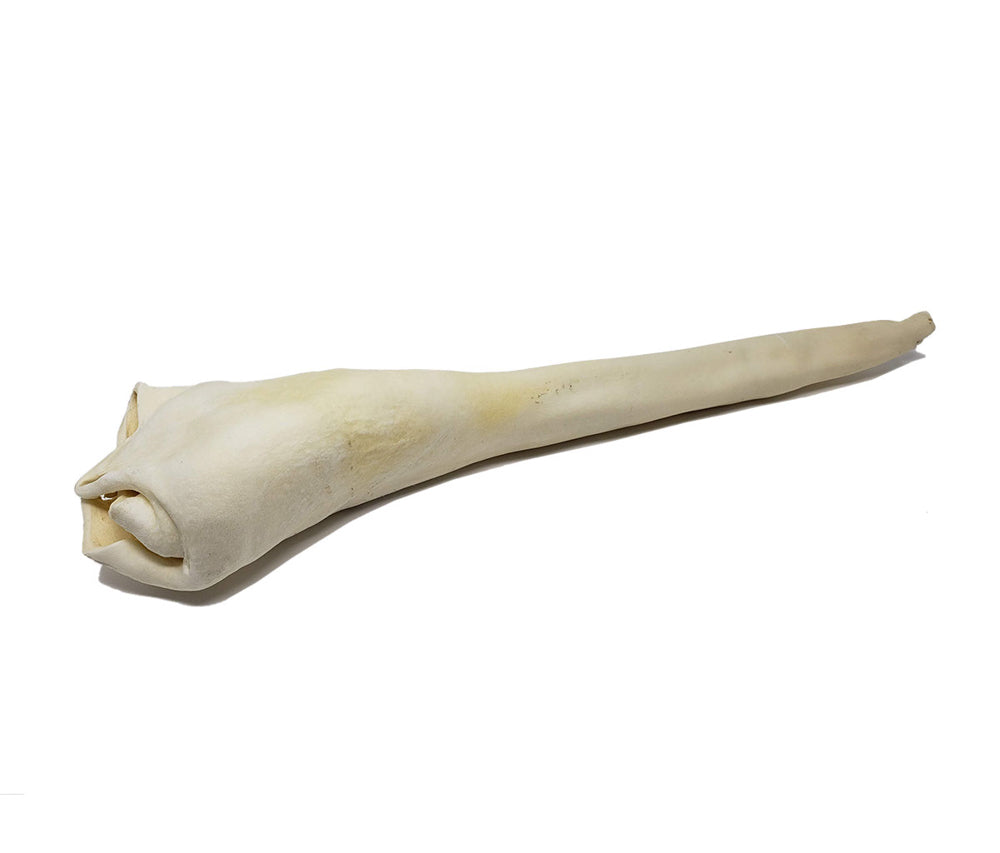 OPEN RANGE Gâteries Chien Queue de Boeuf Pleine Longueur