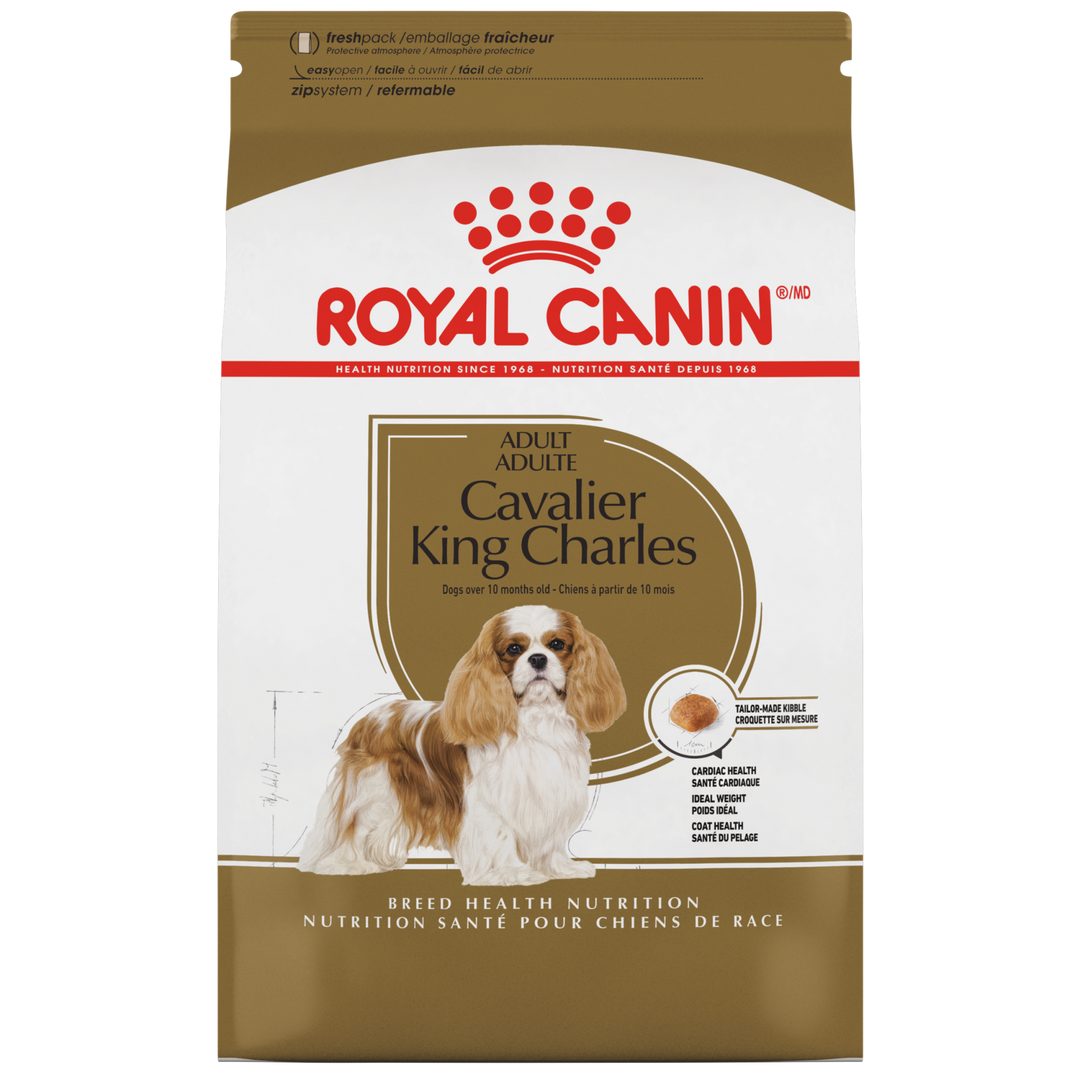 Royal Canin - Cavalier King Charles Adulte - Nourriture Sèche pour Chiens