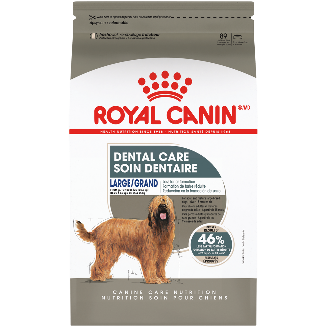 Royal Canin Grand - Soin Dentaire - Nourriture Sèche pour Chiens Adultes