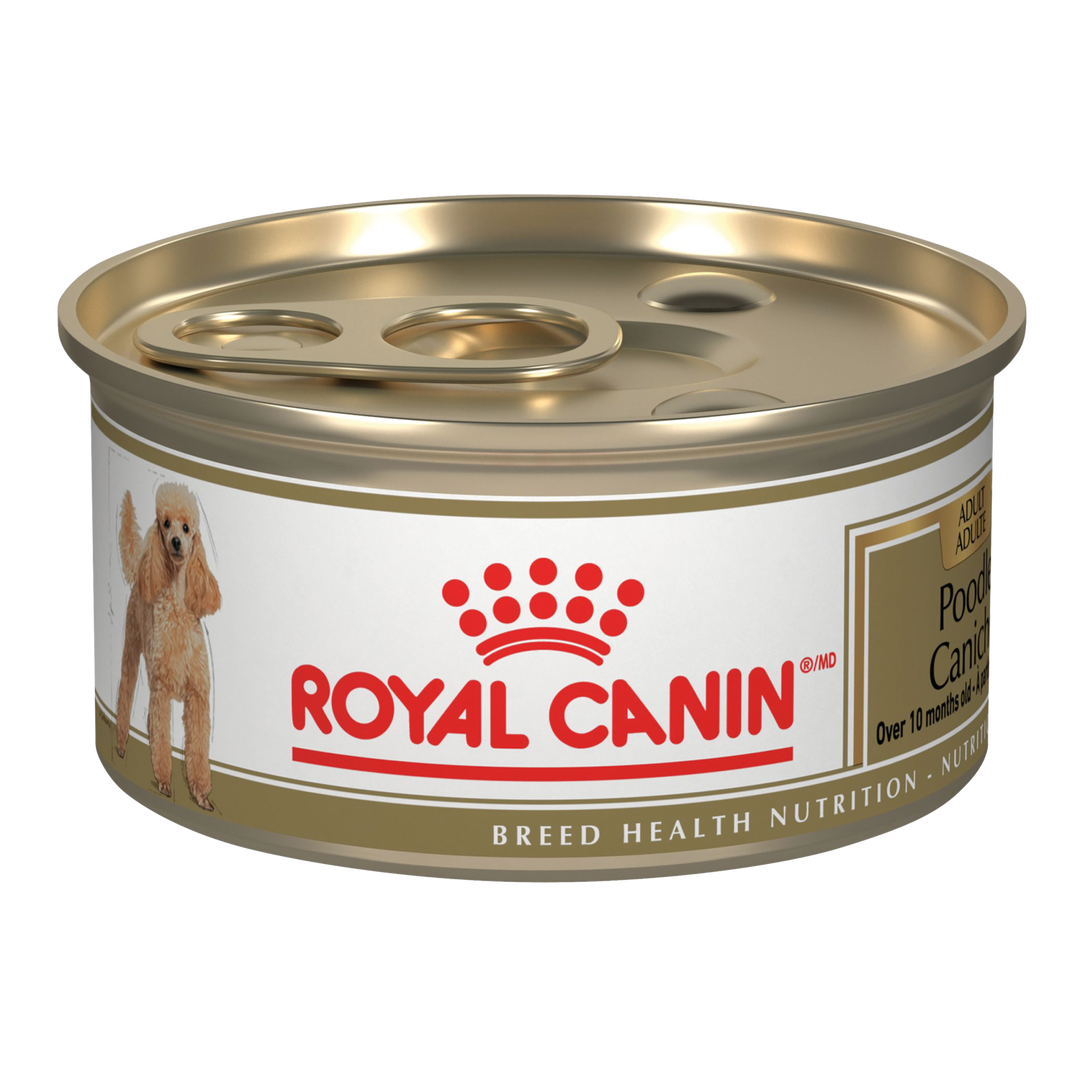 Royal Canin - Caniche - Pâté en Sauce - Nourriture Humide pour Chiens