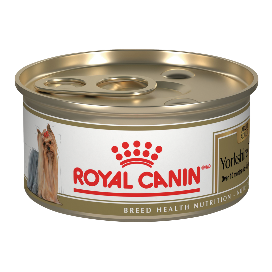Royal Canin - Yorkshire Terrier - Pâté en Sauce - Nourriture Humide pour Chiens