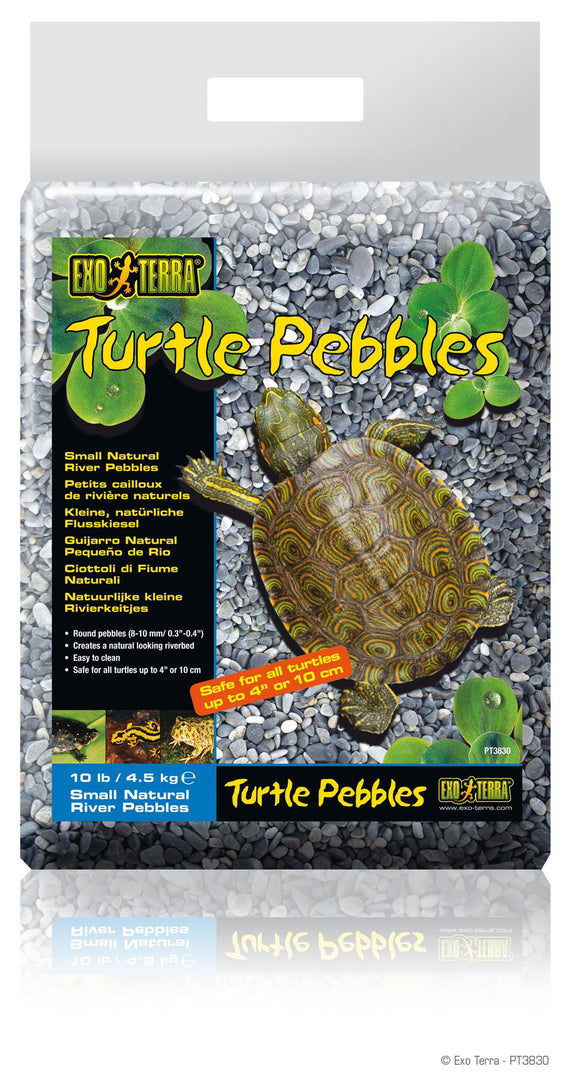 EXO TERRA Galets pour Tortues 4.5kg Gros pour Reptiles