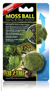 Exo Terra - Boule de Mousse - Décoration pour Terrariums
