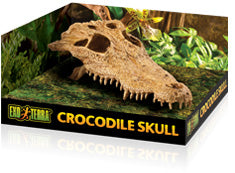 Exo Terra - Crâne de Crocodile - Cachette pour Reptiles