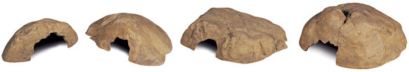Exo Terra - Grotte Cachette - Cachette pour Reptiles