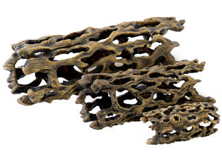 *EXO TERRA Cholla Arborescent M pour Reptiles