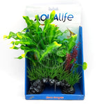 Voir l’image dans la galerie, FLUVAL Plante Aponogeton Crispé 14" pour Aquarium