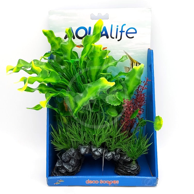 FLUVAL Plante Aponogeton Crispé 14" pour Aquarium