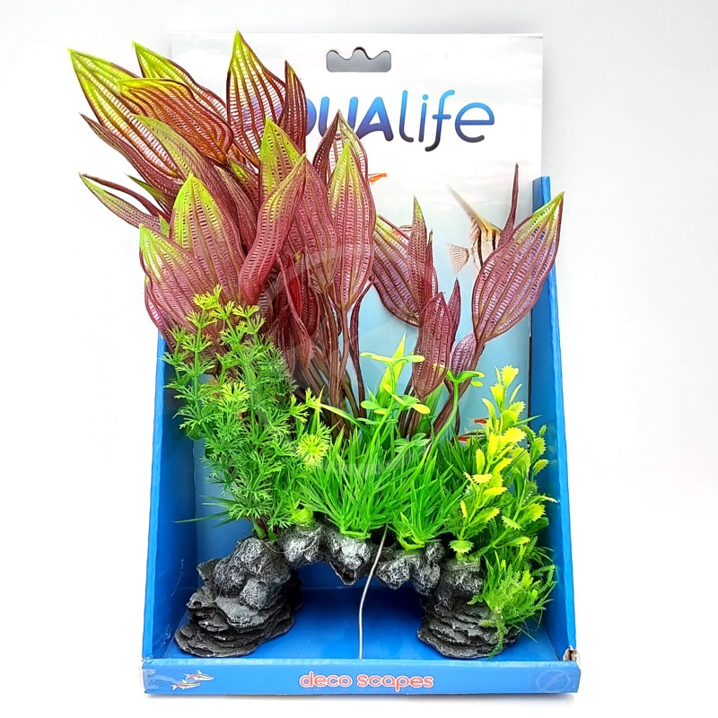 FLUVAL Plante Plante-Dentelle Rouge 10" pour Aquarium