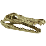 Voir l’image dans la galerie, KOMODO Déco Alligator