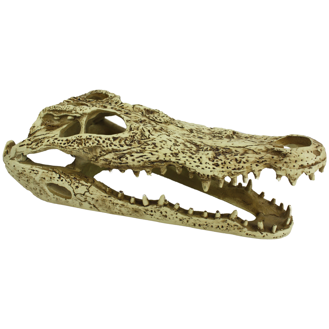 KOMODO Déco Alligator