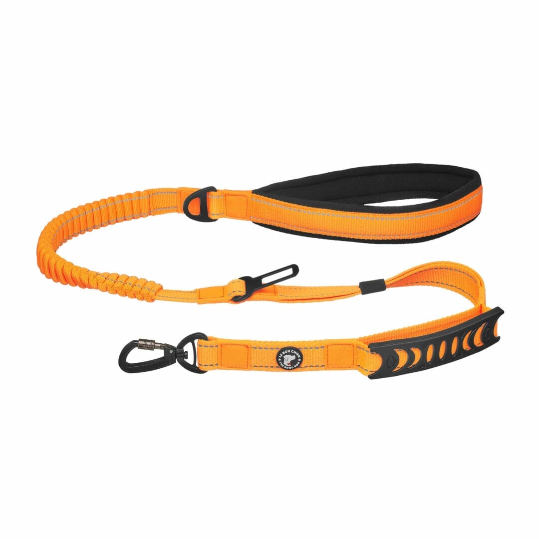 LBC Laisse Bungee Multifonction pour Voiture Orange
