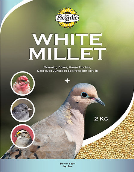 PICARDIE Nourriture Millet Blanc 2kg pour Oiseaux Sauvages