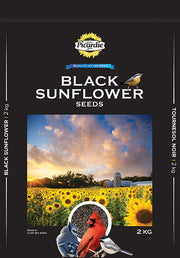 PICARDIE Nourriture Tournesol Noir 4kg pour Oiseaux Sauvages