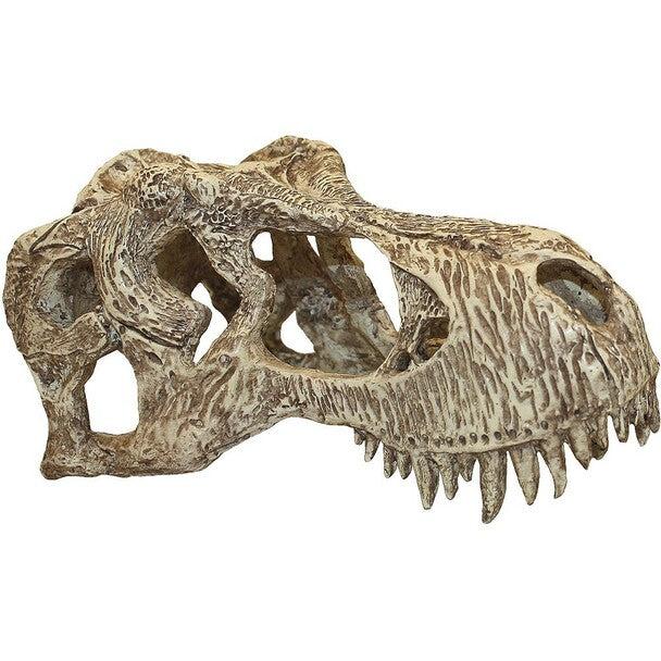 KOMODO Crâne de Rapace T-Rex, Grand pour Reptiles