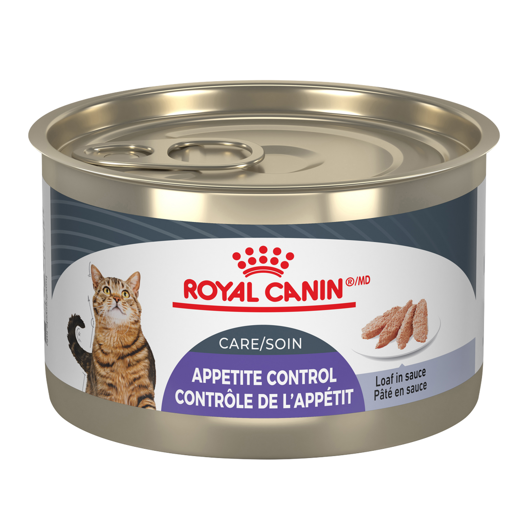 Royal Canin - Soin Contrôle de l'Appétit - Pâté en Sauce - Nourriture Humide pour Chats