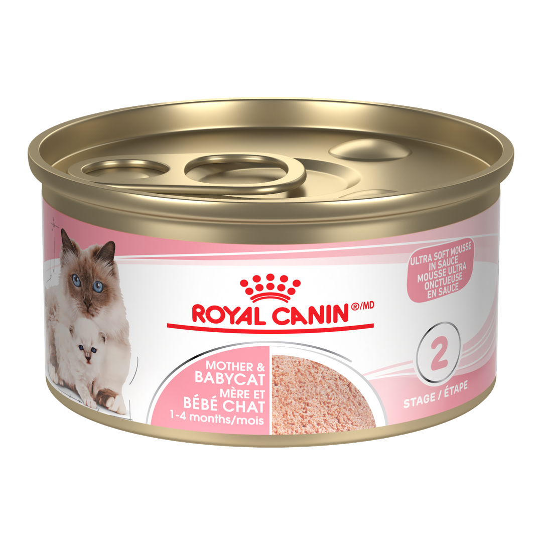 Royal Canin - Mère et Bébé Chat - Mousse Ultra Onctueuse en Sauce - Nourriture Humide pour Chats
