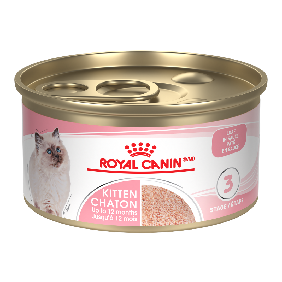 Royal Canin - Chaton Instinctif Pâté en Sauce - Nourriture Humide pour Chats