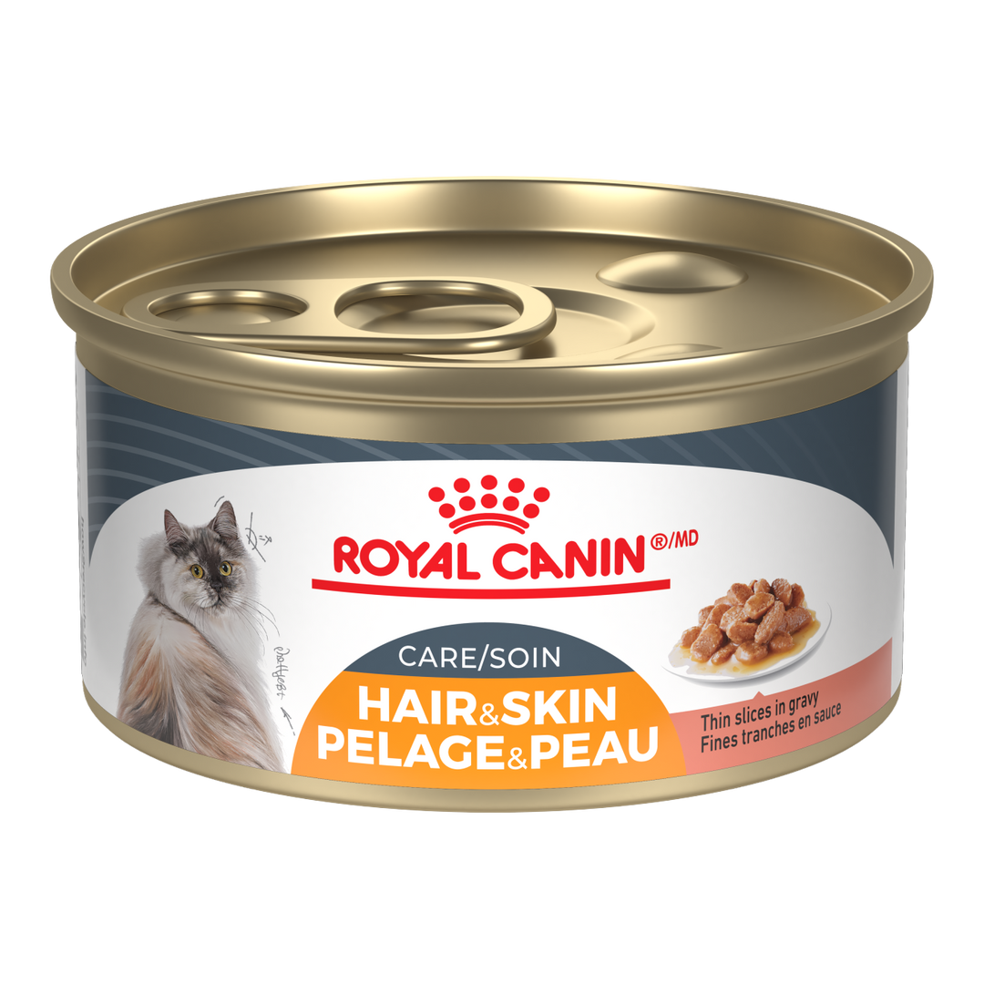 Royal Canin - Chat Soin Peau & Pelage Tranche en Sauce, Emballage de 12 - Nourriture Humide pour Chats
