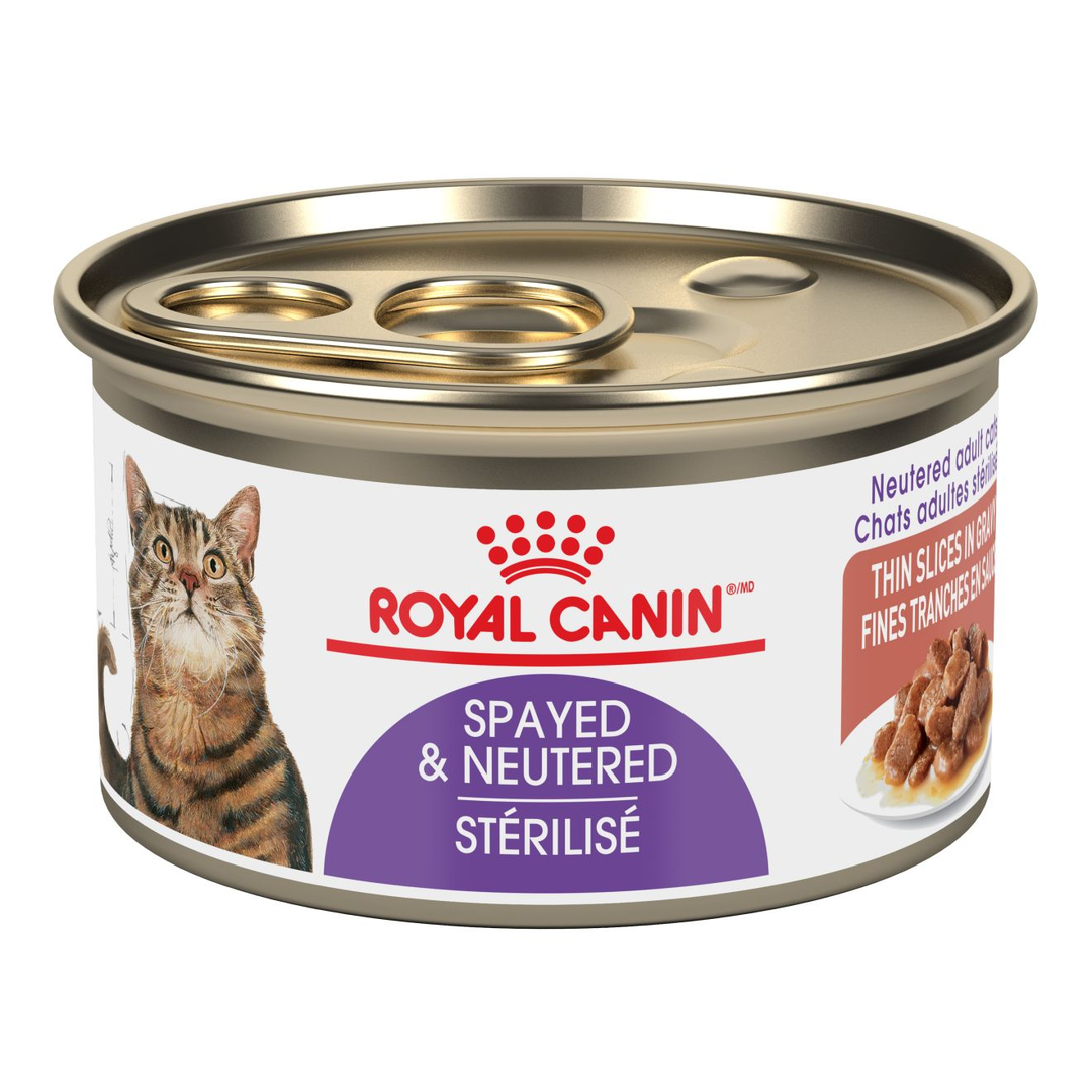 Royal Canin - Stérilisé - Fines Tranches en Sauce - Nourriture Humide pour Chats