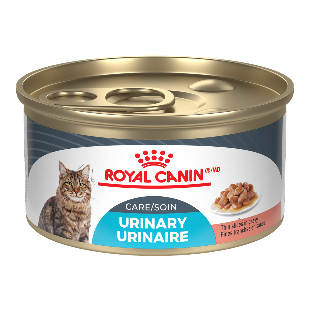 Royal Canin - Assortiment Soin Urinaire - Fines Tranches en Sauce - Nourriture Humide pour Chats