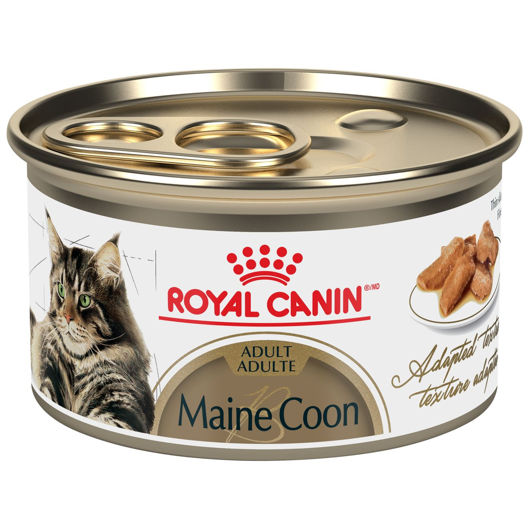 Royal Canin - Maine Coon - Fines Tranches en Sauce - Nourriture Humide pour Chats Adultes