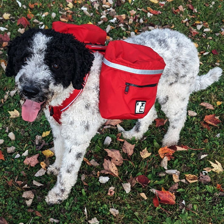 CHIEN BLANC Sac à Dos Expédition Rouge