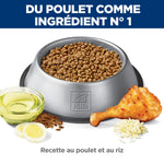 Voir l’image dans la galerie, Hill's Science Diet - Poids Santé (Perfect Weight), Poulet et Riz Brun - Nourriture Sèche pour Chiens Adultes de Miniatures et Petites Races