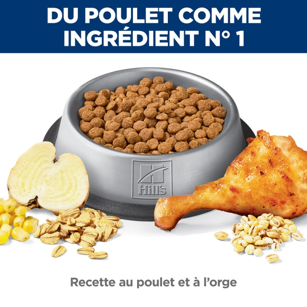 Hill's Science Diet - Digestion Parfaite (Perfect Digestion), Poulet et Orge - Nourriture Sèche pour Chats Adultes 1-6 Ans