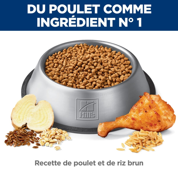 Hill's Science Diet - Digestion Parfaite, Poulet et Riz Brun - Nourriture Sèche pour Chiens Adultes de Miniatures et Petites Races Adultes 1-6 Ans