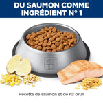 Voir l’image dans la galerie, Hill's Science Diet - Digestion Parfaite (Perfect Digestion), Saumon et Riz Brun - Nourriture Sèche pour Chiens Adultes 1-6 Ans