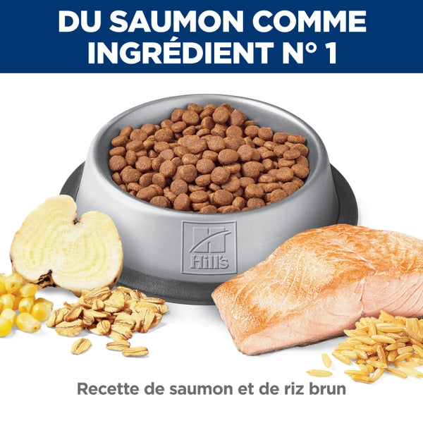 Hill's Science Diet - Digestion Parfaite (Perfect Digestion), Saumon et Riz Brun - Nourriture Sèche pour Chats Adultes 1-6 Ans