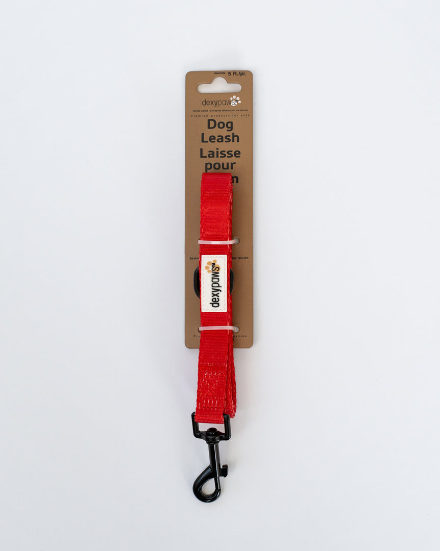 Dexypaws - Laisse en Polyester - Laisse pour Chiens