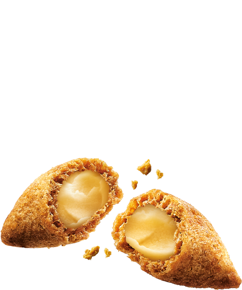 Gâteries Nomchies Saumon