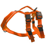 Voir l’image dans la galerie, CHIEN BLANC ATLAS Harnais Double Orange S