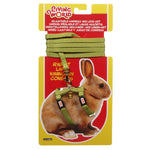 Voir l’image dans la galerie, *LW Laisse 48" &amp; Harnais Lapin Vert