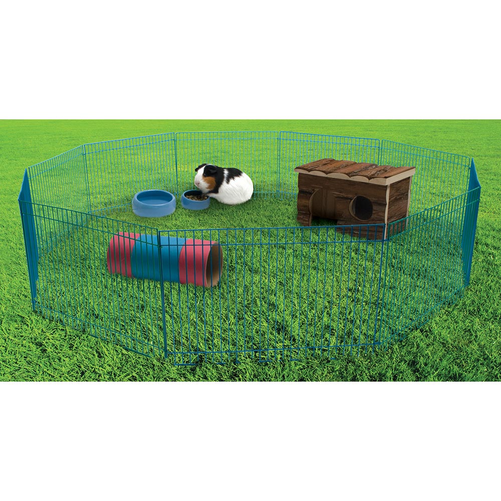 LW Parc Critter Playtime pour Rongeur