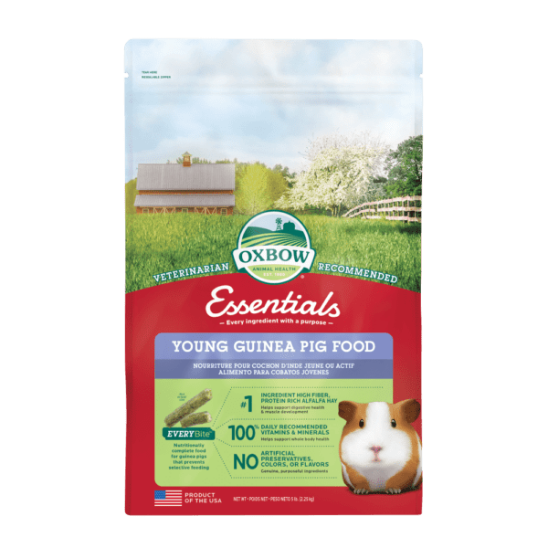 Oxbow Essentials - Nourriture pour Jeunes Cochons d'Inde - Nourriture pour Cochons d'Inde