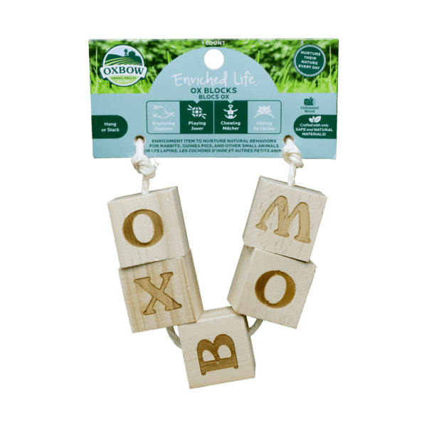 OXBOW Jouet Rongeur Centre Interactif Blocs Ox