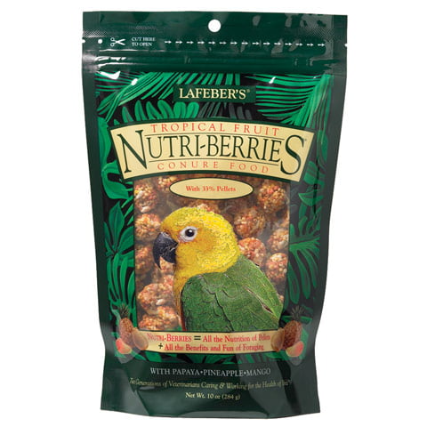 LAFEBER'S Gâteries Conures Tropical Fruit Nutri-Berries 10oz