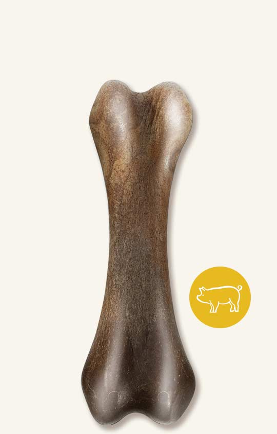 Nosh Zeus - Os Robuste, Arôme de Bacon - Jouets à Mâcher pour Chiens