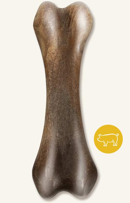 Nosh Zeus - Os Robuste, Arôme de Bacon - Jouets à Mâcher pour Chiens