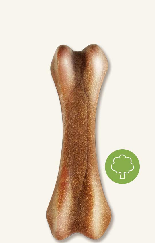 Nosh Zeus - Os en Bois et Nylon - Jouets à Mâcher pour Chiens