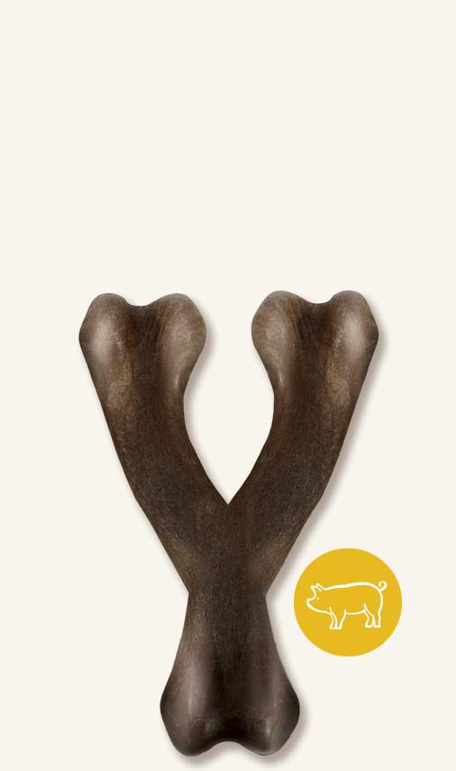 Nosh Zeus - Jouet à Mâchonner Robuste en Forme d’Os du Bonheur, Arôme de Bacon pour Chiens