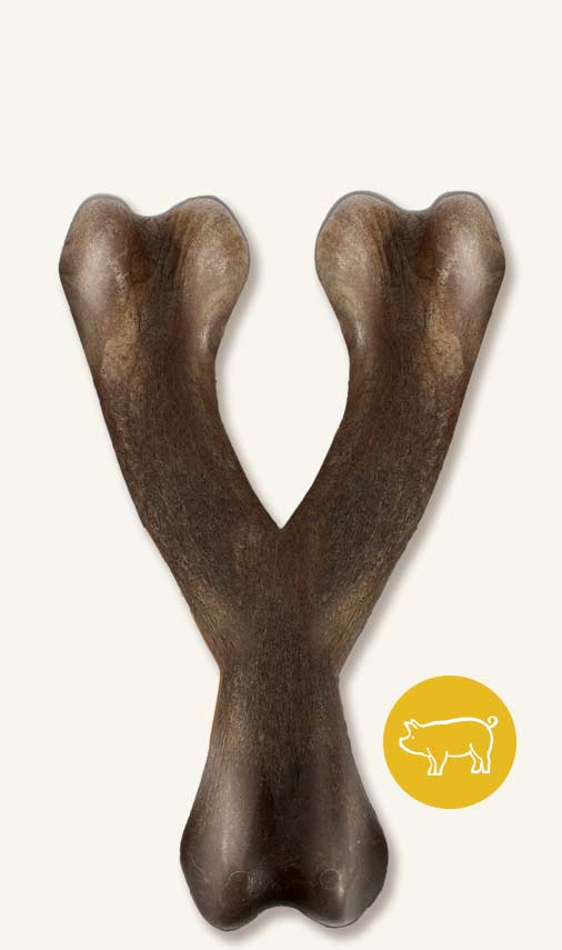 Nosh Zeus - Jouet à Mâchonner Robuste en Forme d’Os du Bonheur, Arôme de Bacon pour Chiens