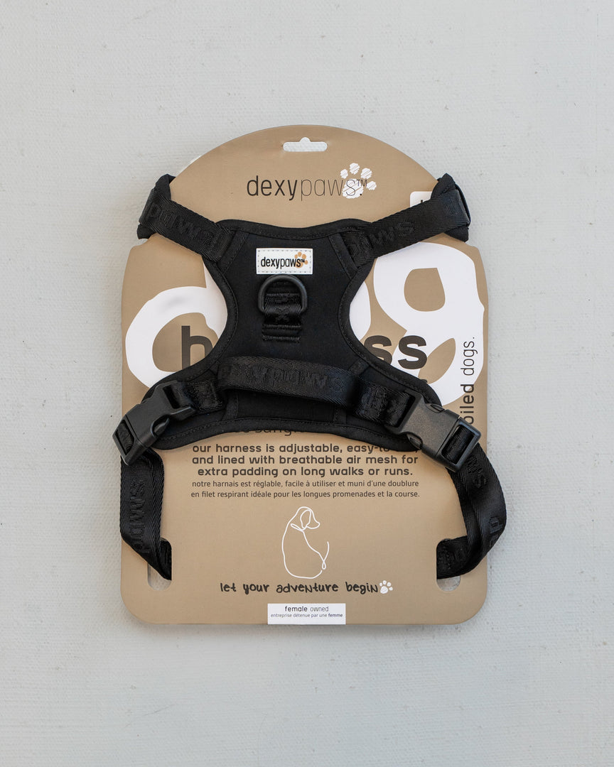 Dexypaws - Harnais Imperméable - Harnais Sans Traction pour Chiens